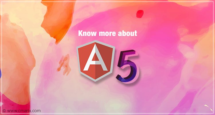 Know more about Angular 5