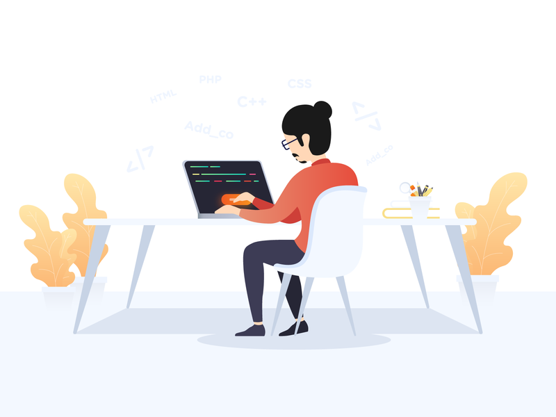 Developer