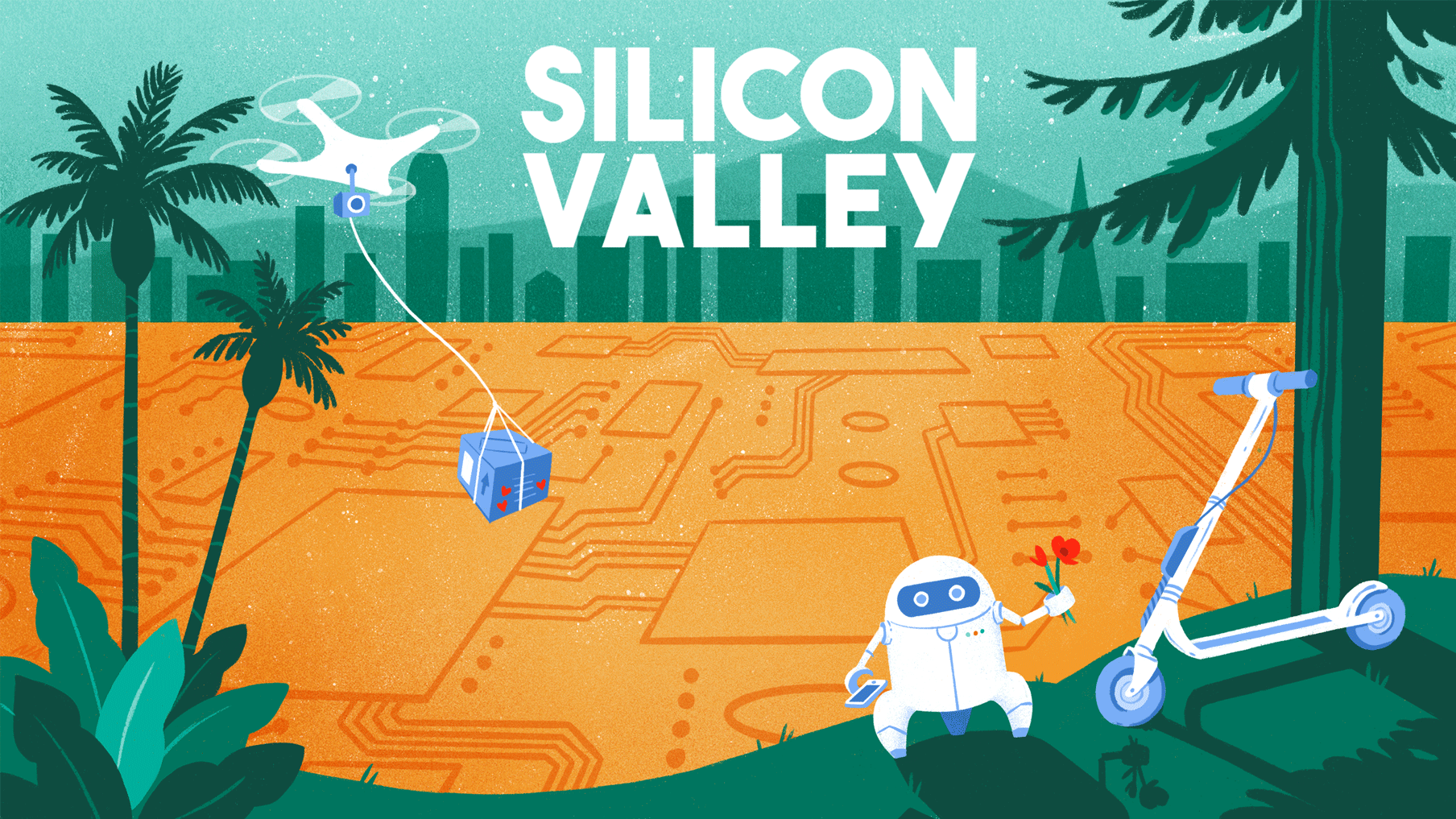 Silicon Vally