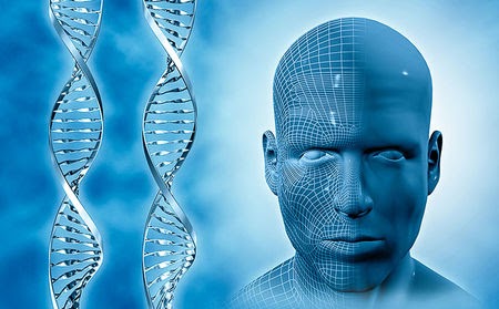 Face DNA Test App