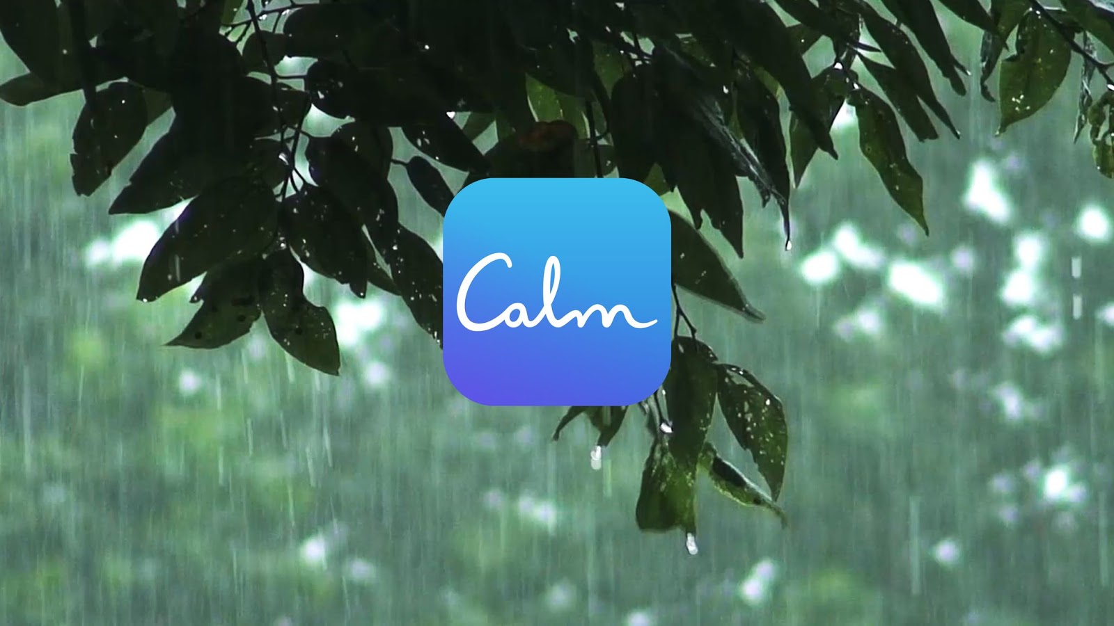 How to Create a Meditation App Like Headspace or Calm?